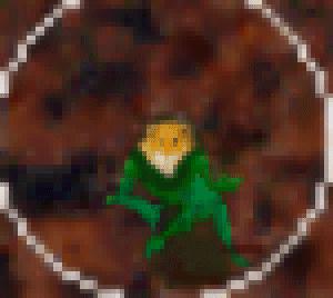 [Magnification of part D]